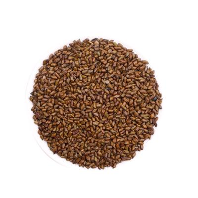 China Bulk Cassia Seed High Quality Low Fat High Heat Stir Fried Source Of Goods for sale