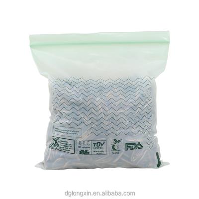 China Recyclable Custom Size Biodegradable Compostable Color Zipper Hot Sale Ziplock Bag for sale