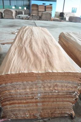 China 1270*2550*0.3mm natural gurjan face veneer,keruing veneer for india market ,Burma Face Veneer for sale