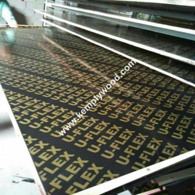 China Cheap price black film faced plywood, black shuttering film faced plywood with brand logo, phenolic plywood for sale