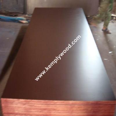 China Two times hot press combi core 15times usage brown film faced plywood,two times hot pressed shuttering plywood for sale