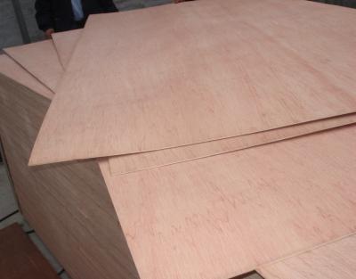 China Packing grade plywood, plywood for packing use, cheap commercial plywood, poplar core plywood for sale