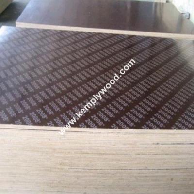 China Brown Film Faced Plywood Prices Poplar Core/Hardwood Core Brown Film Faced Glued Laminated Timber film face plywood for sale