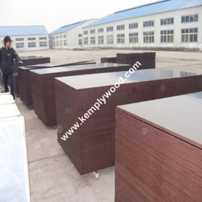 China Shandong linyi film faced plywood marine plywood for concrete formwork for sale