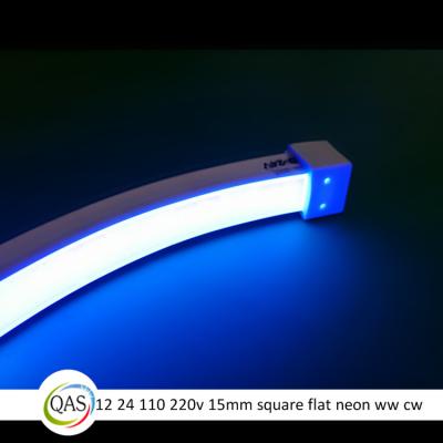 China Decorative Lighting Flat 110v Neon Led Strip 2835 SMD LED Waterproof for sale