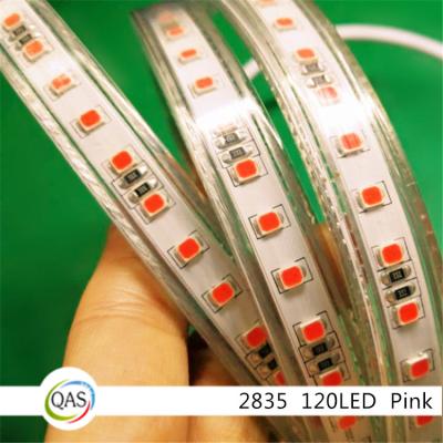 China PVC led grow light 2835 120led red:blue 4:1color mixed red light factory to grow lights for sale