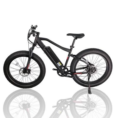 China High AH Price Mountain 48V 750W Multifunctional Cheap Tire MTB Electric Ebike Fat Tire/Snow/Dirt Bike For Sale for sale