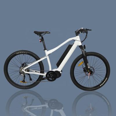 China Bafang Ultra Mid Powerful Mountain Motor Aluminum Alloy 48V 1000W Electric Bike E Bike For Off Road Use for sale