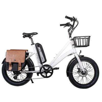 China 2019 Aluminum Alloy Electric Bike Carrier 250w/350w/500w china brand new design cargo ebike for sale