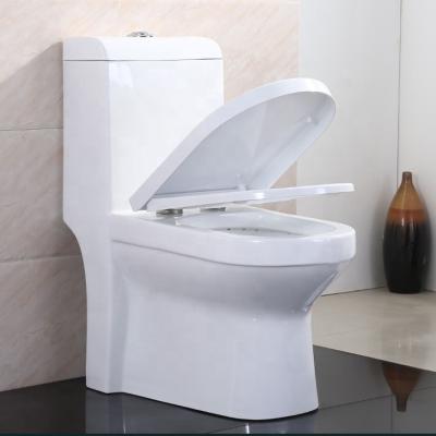 China Double-Flow Ceramic Inodoro One Piece Washdown Toilet For Italian Middle East Toilet Toalett Double Oval Color Design WC Toilet for sale