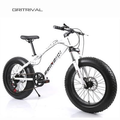 China Wholesale Fiber Sport Fat Tire Snow Tire Frame bicicletas Cruiser Beach Tour Double Suspension Carbon Cycling Bike for sale