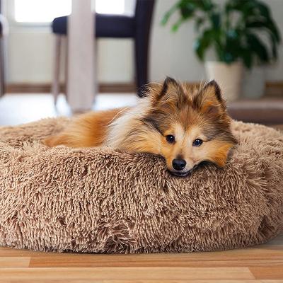 China dropshipping breathable hello selected dog bed dropshipping pet for dog for sale