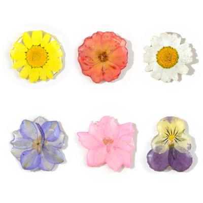 China JF029 6 Styles Available Real Daisy Charm Flower Petal Resin Earring Natural Pressed Dry Daisy Charm Craft Jewelry For Women for sale