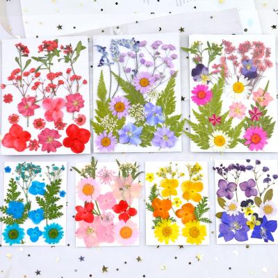 China Environmental friendly high quality combination multicolor pressed dry flower the real share of the mark embossed bag for epoxy resin paint material for sale