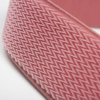 China China Supplier High Quality High Strength Custom Fish Ribbon Elastic Garment Silk Elastic Waistband For Garment for sale