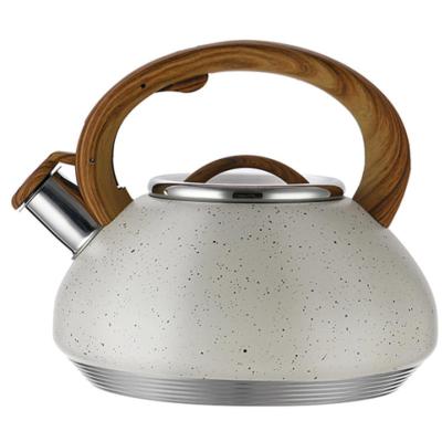 China 2021 Viable New Stainless Steel Single Teapot Whistling Teapot With Painted Buzzer Kettle for sale