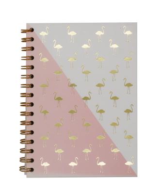 China 2021 New Design Custom Spiral Lined Hardcover A5 Spiral Binding Notebook Planner for sale