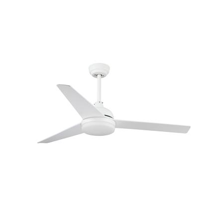 China Modern Simple Modern 56 Inch ABS LED Ceiling Fan Light With Remote Control for sale