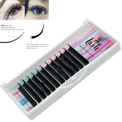 China Long Natural MASSCAKU Most 0.15 0.20 0.25 Soft Flat Ellipse Eyelash Extensions 8-18mm Individual for sale