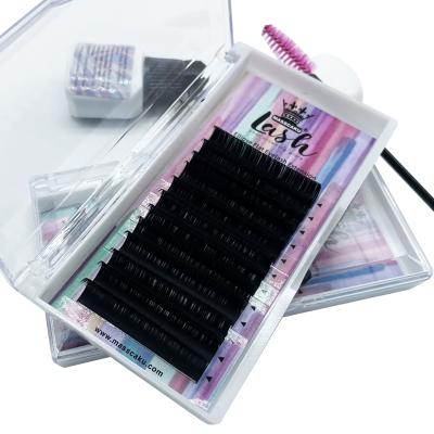 China Long MASSCAKU natural sell 0.15 0.20 flat matte ellipse eyelash extensions with private label color box for sale