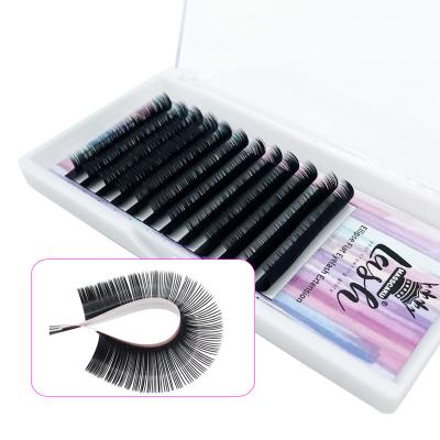 China Korean Wholesale Natural Private Label Individual Ellipse MASSCAKU Long Flat Eyelash Extension for sale