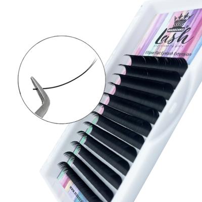 China Natural Long Private Label Mink Black Flat Organizers Mix 8-15mm Ellipse Flat Eyelash Extensions for sale