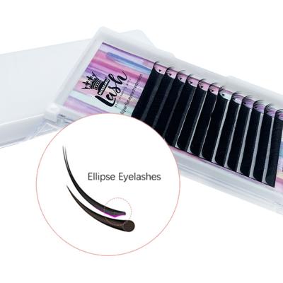 China Different trays of natural wholesale private label long 0.15 0.20 flat ellipse eyelash extensions for sale