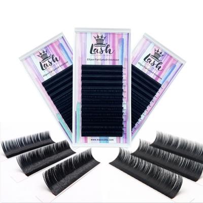 China Natural Wholesale Aluminum Long Mink Back Ellipse Flat Eyelash Extensions for sale