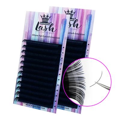 China Long natural MASSCAKU 015 020 lashes flat hotsale high quality ellipse private label eyelash extension for sale