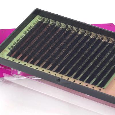 China Masscaku Natural Pure Hand Long Worker Fakes Eyelash Extension Silk Eyelash Extension for sale