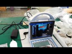 BIO-5000C color doppler