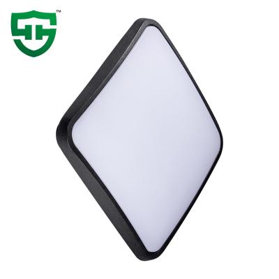 China Hotel Room/Corridor/Ip65 Waterproof Aluminum Surface New Courtyard Design/External Wall Mounted 24 36W LED Outdoor Wall Lights for sale