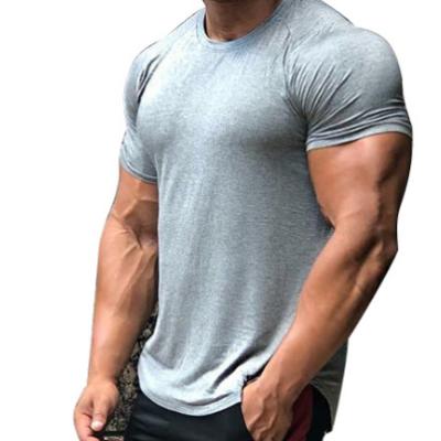 China QUICK DRY QUICK DRY Sports Invest Mens Fitness T-Shirt Muscle Training Letter Collars Fitness Shorts Round Sleeve T-Shirt for sale