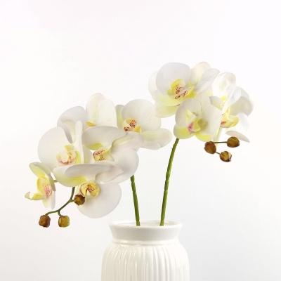 China Home.Party.Restaurant.Bar.Hotel.Wedding Real Orchids Wholesale Artificial Phalaenopsis Touch Butterfly Orchid For Wedding Home Wedding Decoration for sale