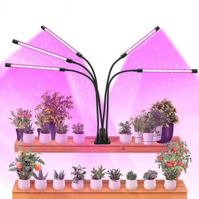 China Seed Starting LED To Grow Full Spectrum 5 Phyto Light USB Lamp Head Grow Tent Complete Phytolamp Kit For Plants Seedlings Flowers Grow Box for sale