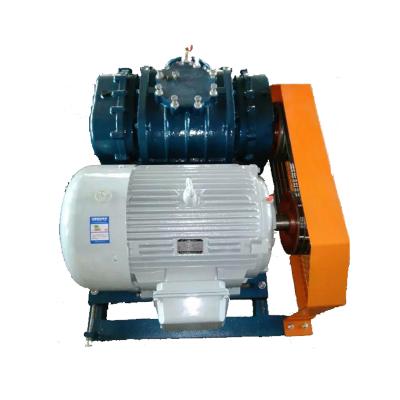 China Rotary Sewage Treatment Aeration DSR80G Sewage Treatment Aeration Air Roots Blower for sale