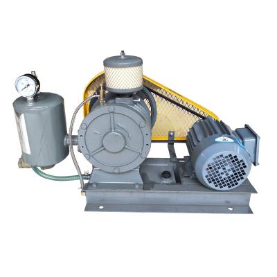 China Plating Tank Sewage Aeration DH-401S Small Vibration Rotary Lobe Fan for Plating Tank Sewage Aeration for sale