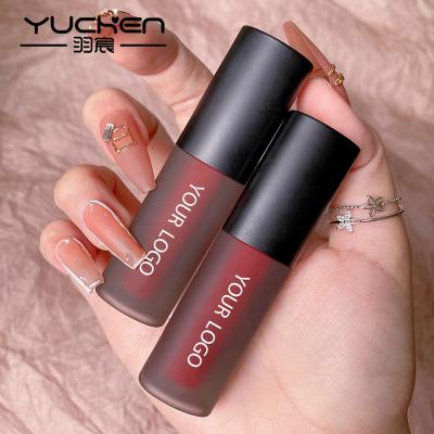 China Private Label Matte Liquid Lip Gloss Natural Non-Stick Waterproof Long Lasting for sale