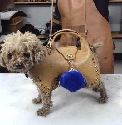 China Exclusive Customized High End Leather Dog Rope Decoration Stored Multifunctional Lifting Clothes for sale