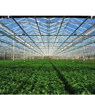 China Greenhouses Vegetable Design Steel Tunnel Greenhouse In China Single-span Agricultural Te koop