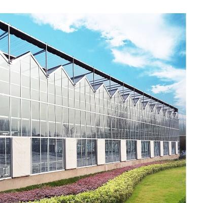 Cina Structure Steel Metal Frame Multi Span Greenhouse Cheap Green House Agricultural Greenhouse in vendita