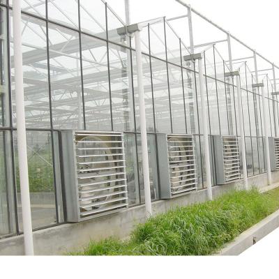 Cina Low Price Multispan Pc Sheet Polycarbonate Agricultural Greenhouse With Complete Hydroponic Growing Systems in vendita