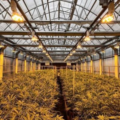 China Good Price China Green House Commercial Used Steel Frame Agricultural Tunnel Single-span Greenhouse for sale