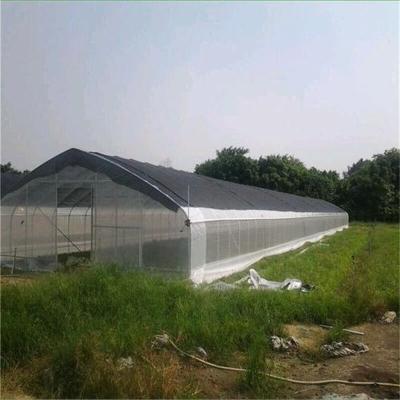 China Best-Selling Agricultural Plastic Growing Tunnels Steel Frame Metal Greenhouse For Sale for sale