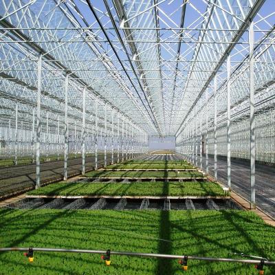 中国 Large Galvanized Steel Frame Multi Span Greenhouse Truss Glass Agricultural 販売のため