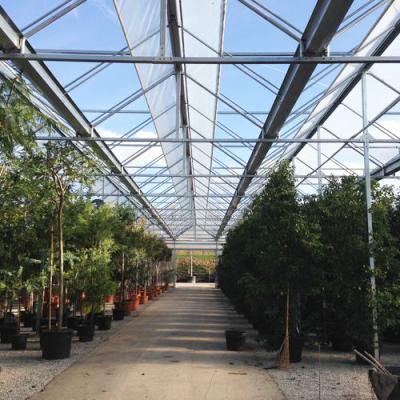 Chine Agriculture Hydroponic 	Multi Span Greenhouse  Growing System Steel Structure Greenhouse Manufacturers à vendre