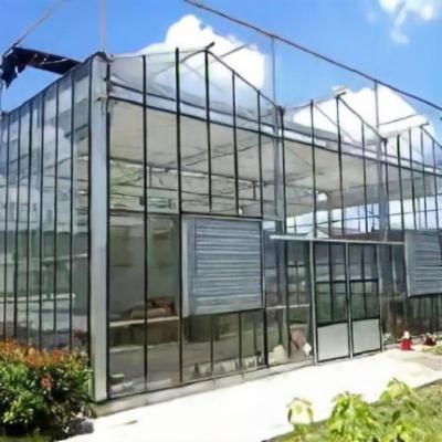 China Cheap Intelligent Agriculture Multi Span Greenhouse Glass Greenhouse Hydroponic Greenhouse en venta