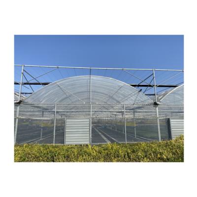 China Customized Metal Frame Multi Span Greenhouse Planting Greenhouse For Flowers Plant Te koop