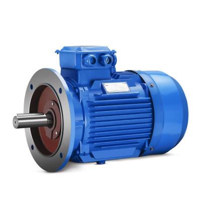 China Y2 Series Totally Enclosed Cast Iron Three Phase Induction Electric AC Motor for sale