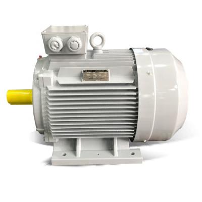 China Induction Drip Proof Cast Iron Series 0.75kw 1.1kw 1.5kw 2.2kw 3kw 4kw 5.5kw 7.5kw 11kw 15kw 18.5kw Three Phase AC Motor Ye2 for sale